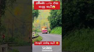 Ctb එකේ ලස්සන 😱automobile 1million trending bus teamsasindu [upl. by Doley]