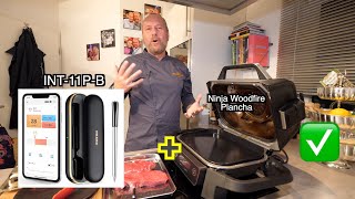 Inkbird Wireless BBQ Thermometer  Ninja Woodfire Plancha  Steak mit Sauce [upl. by Llerdnek]