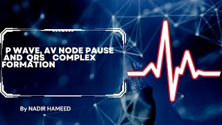 ECG P wave QRS complex and t wave [upl. by Aisset]