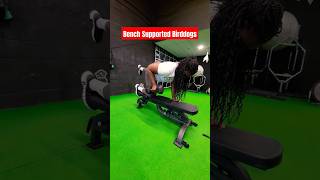 Bench Supported DB Birddog Rows CoreStrength corestability strengthtraining brampton toronto [upl. by Kassey]