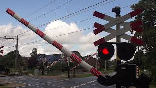 Spoorwegovergang Zwolle  Dutch Railroad Crossing [upl. by Torbert]