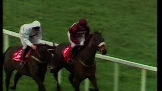 1989 Findus Handicap Chase [upl. by Dallis]