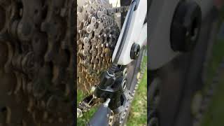 Nireeka  UPDATE  NO MOTOR ISSUE  Cog  Rear Derailleur  Problem FIXED [upl. by Trager]