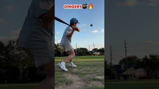 Dingers ❗️ [upl. by Dee Dee588]