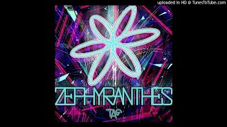 TAG  ZEPHYRANTHES [upl. by Bullivant382]