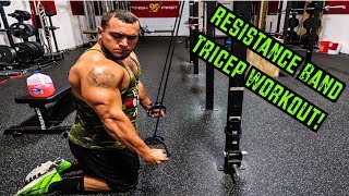 Intense 5 Minute Resistance Band Tricep Workout [upl. by Naillimixam]