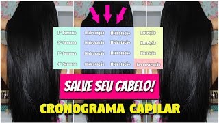 Aprenda Montar Seu Cronograma Capilar  TENHA UM CABELO LINDO [upl. by Roskes]