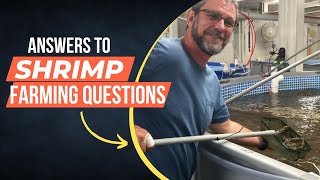 Shrimp farming  15 Frequently Asked Questions With Answer [upl. by Nnyleitak]