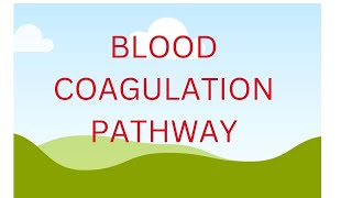 COAGULATION PATHWAY [upl. by Aicirtan99]