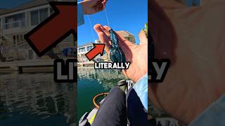 Freshwater Lures in Saltwater fishingvideo fishing [upl. by Nevear672]