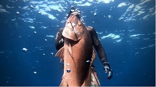 SPEARFISHING  Costa Rica  Mexico [upl. by Nytsirhc646]