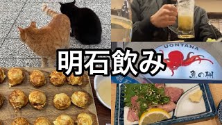 【魚の棚商店街】明石で食べ飲み【昼飲み】 [upl. by Zorine270]