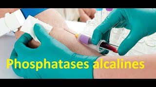 Phosphatases alcalines [upl. by Eirod]