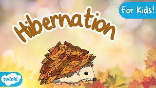 What is Hibernation  Hibernation for Kids [upl. by Letsou]