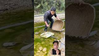 TANGKAP IKAN fishing bassfishing carpfishing ngeshortsdulu [upl. by Aivlys]