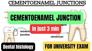 Cementoenamel junctions amp its types3mincementumprofessional examDental histologyBDSDentoTuber [upl. by Abehs88]