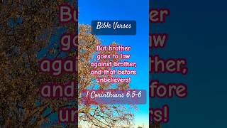 Do Not Sue the Brethren 1 Cor 656 simplyscripture bibleverse [upl. by Pasho]