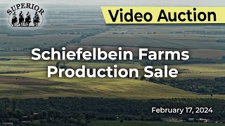 Schiefelbein Farms Production Sale [upl. by Hendry646]