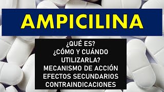 🔴 AMPICILINA  PARA QUÉ SIRVE EFECTOS SECUNDARIOS MECANISMO DE ACCIÓN Y CONTRAINDICACIONES [upl. by Rats]