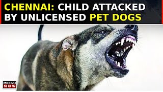 5YrOld Child Attacked By Unlicensed Pet Dogs In Chennai Park Owners Under Police Scrutiny  Watch [upl. by Lauder79]