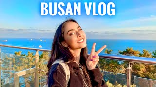 BUSAN VLOG  South Korea Trip 🇰🇷  Sakshma Srivastav [upl. by Attelra]