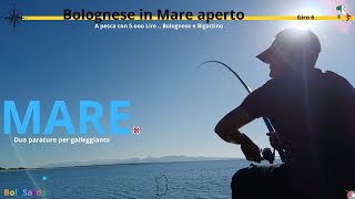 Pesca Bolognese Mare Aperto APescaConCinqueMilaLire fishing pesca mare fish sport [upl. by Sirret]