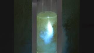 The amazing chemiluminescence of luminol [upl. by Naeloj]