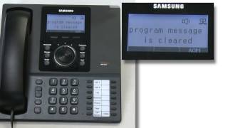 How To Use the Programmed Message Function on a Samsung Telephone System [upl. by Rratsal]