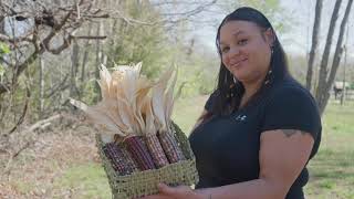 Cattail Use in Woven Baskets [upl. by Nipha474]