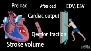 Cardiac Output Stroke volume EDV ESV Ejection Fraction [upl. by Xonnel]