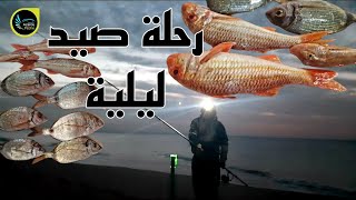 رحلة ليلية لشاطئ ابا قاسم أشقار [upl. by Past]