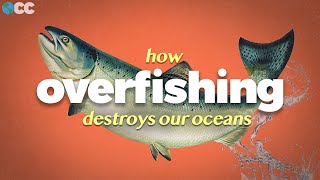 Why Our Oceans Are Dying [upl. by Rosalinda868]