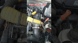 Check out the Radiator Cap And Cooling system maheshji4640 bolero driver driving shorts [upl. by Anivlis]