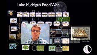 LS2A  Interdependent Relationships in Ecosystems [upl. by Rafael]