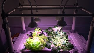 Hydroponic Growbox by Opcom Farm [upl. by Ailaro]