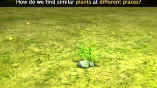 HCL Learning DigiSchool  Seed Dispersal [upl. by Stephannie619]