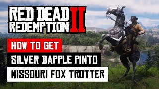 Fed up of trying to get the Missouri Fox Trotter  This EASY METHOD actually WORKS  RDR2 [upl. by Idhem303]