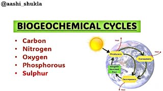 Biogeochemical Cycles  Carbon Nitrogen Oxygen Sulphur  Unit 2  Environmental Chemistry [upl. by Nylahs]