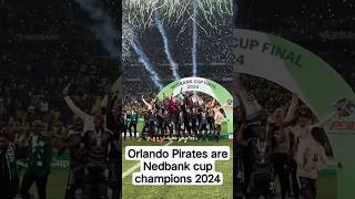 Nedbank cup champions 2024 reels [upl. by Raf]