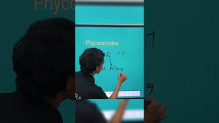 Phycomycetes example trick by Ranveer sir shorts [upl. by Lehrer854]