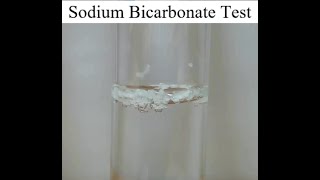 Sodium Bicarbonate Test for Carboxylic Acids [upl. by Releyks]