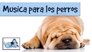 La mejor pelicula para perros [upl. by Adehsar]