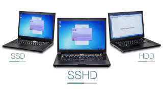 เปรียบเทียบประสิทธิภาพระหว่าง SSD SSHD และ HDD [upl. by Staw]