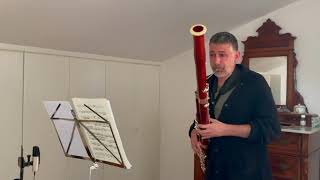 CSaint Saëns bassoon sonata op 168 [upl. by Thad]