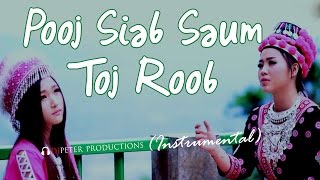 See Yaj  Poob Siab Saum Toj Roob DJPeter Instrumental [upl. by Ibloc867]