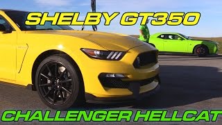 Shelby GT350 vs Hellcat Challenger [upl. by Eitsym63]