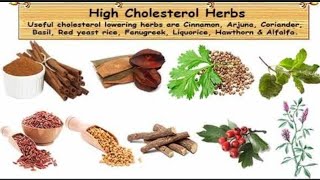 top 5 plants that reduce cholesterol  plants Cholesterol [upl. by Eidnar376]