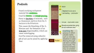 Podzol Soils [upl. by Ciredec]