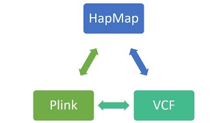 Convert SNP data from one format to another in few clicks Part 1 HapMap  VCF  Plink [upl. by Ahsimak]