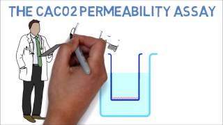 The CaCo2 Permeability Assay for Essential Oils Explained in Under 3 Minutes [upl. by Enaoj319]